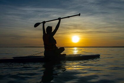 Bacalar: Zonsopgang Paddleboard Tour met drijvende picknick