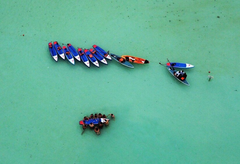 Picture 7 for Activity Bacalar: Sunrise Paddleboard Tour with Floating Picnic