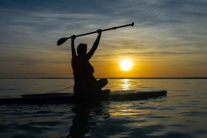 Bacalar : Sunrise Paddleboard Tour avec pique-nique flottant