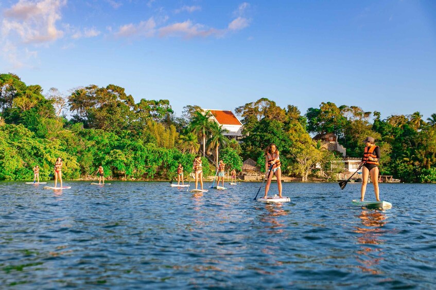 Picture 10 for Activity Bacalar: Sunrise Paddleboard Tour with Floating Picnic