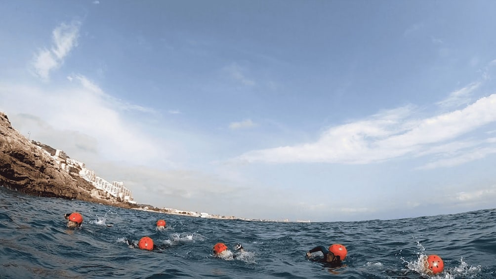 Picture 2 for Activity Alicante: Private Guided Coasteering Trip