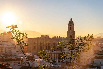 Málaga: Paseo exprés con un local en 60 minutos