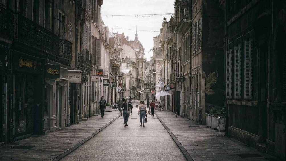 Picture 2 for Activity Dijon: Historic Guided Walking Tour