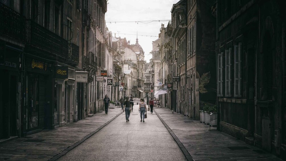 Picture 2 for Activity Dijon: Historic Guided Walking Tour