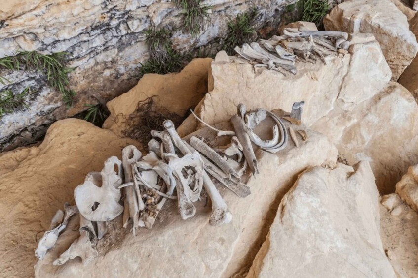 Picture 2 for Activity From Chachapoyas: Full-Day to the Sarcophagis of Karajia