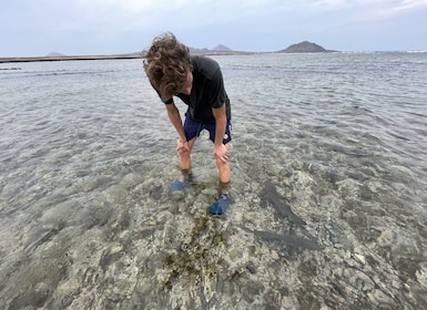 Sal: Lemon Shark Bay and Pedra de Lume Salt Lakes Tour