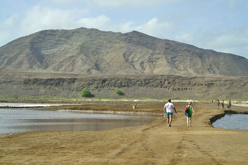 Picture 2 for Activity Sal: Lemon Shark Bay and Pedra de Lume Salt Lakes Tour