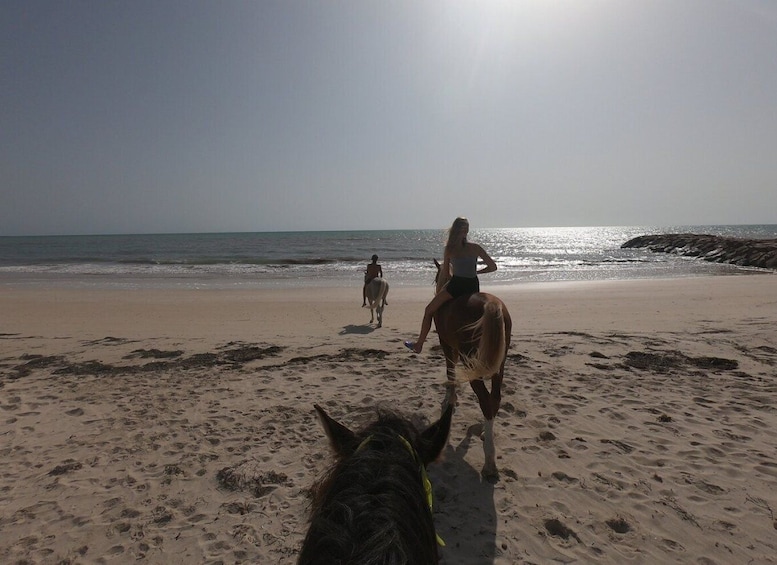 Picture 2 for Activity Djerba: 2-Hour Lagoon Horse Riding Experience