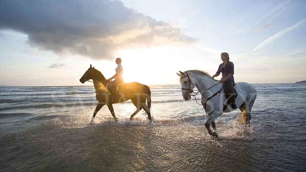 Djerba: 2-Hour Lagoon Horse Riding Experience