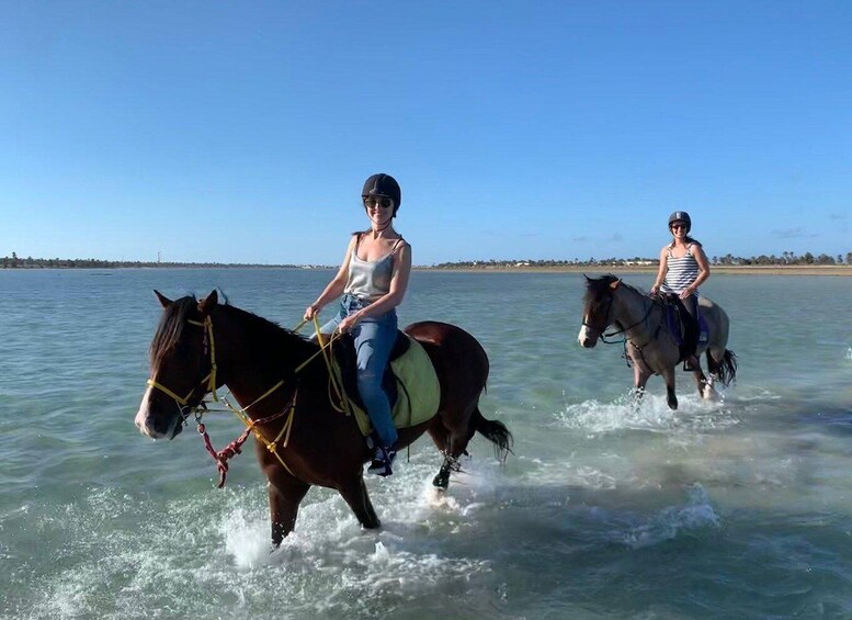 Picture 3 for Activity Djerba: 2-Hour Lagoon Horse Riding Experience