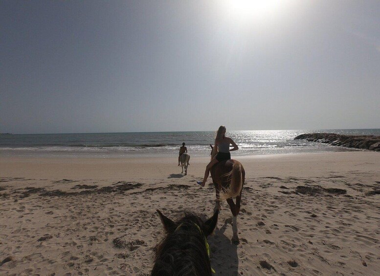 Picture 4 for Activity Djerba: 2-Hour Lagoon Horse Riding Experience