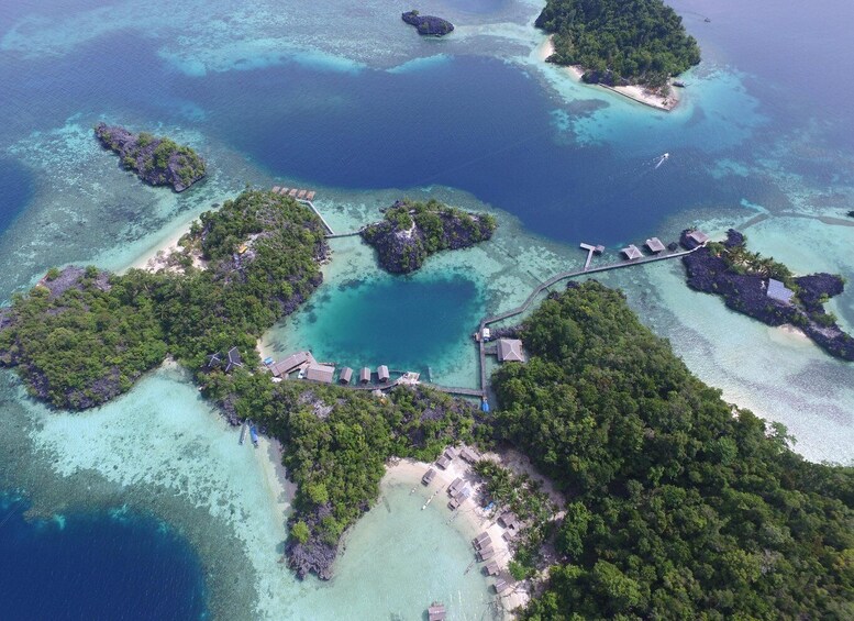 Picture 8 for Activity 3D2N Labengki-Sombori Island: Private Tour From Kendari