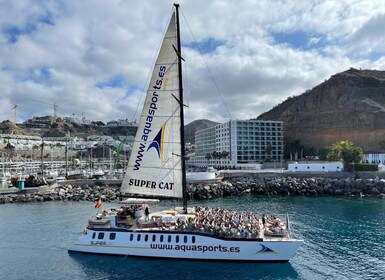 Puerto Rico : 4 h Premium Dolphin catamaran tour