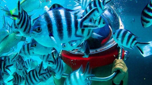 Marcher sous la mer à l'île Maurice avec transfert