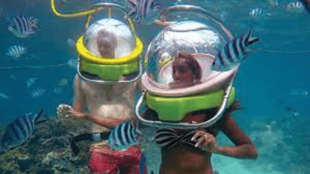 Picture 2 for Activity Walking under the sea in Mauritius with transfer