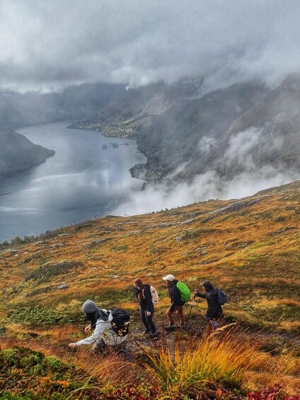 Picture 7 for Activity Bergen: Fjord Hiking - Public tour