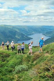 Bergen: Senderismo por los fiordos - Visita pública