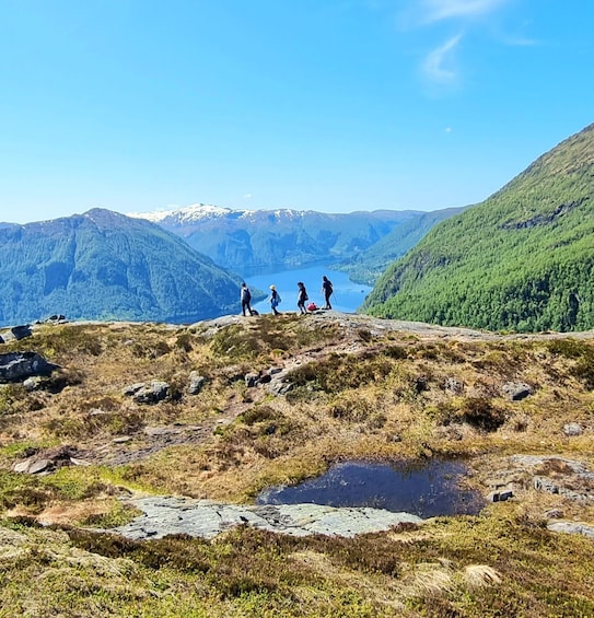 Picture 2 for Activity Bergen: Fjord Hiking - Public tour