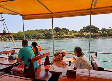 Fažana: Brijuni Islands Lunch tour with Peacock Island Visit