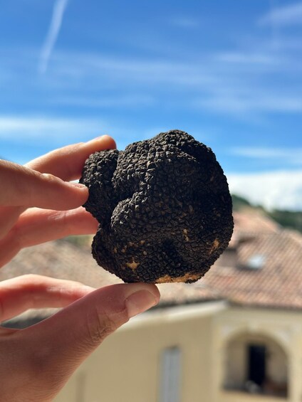 Picture 2 for Activity Master the Art of Pasta with Truffles in Italy's Food Valley