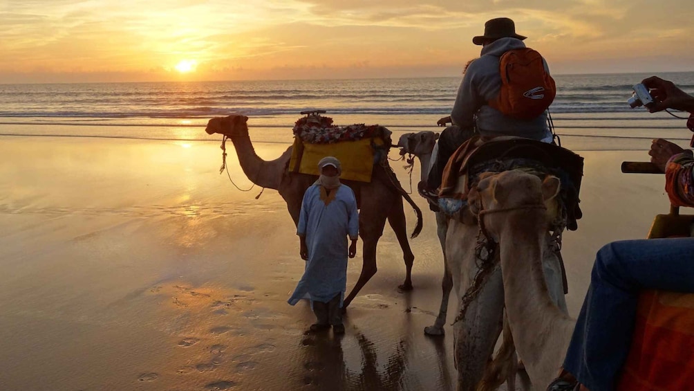 Picture 2 for Activity 3-Hours Dromedary Ride Essaouira, Morocco
