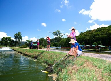 From Port Douglas: Barramundi Pond Fishing with Lunch