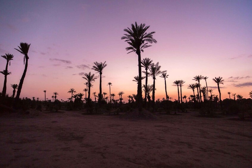 Private-Guided Moroccan Wonders: 6-Day Adventure-Desert