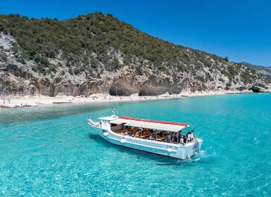 Cala Gonone: Gulf of Orosei Cruise with Food and Swimming