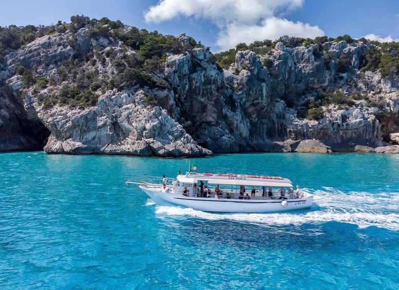 Picture 7 for Activity Cala Gonone: Gulf of Orosei Cruise with Food and Swimming