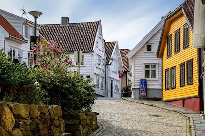 Stavanger: Customised Private Tour with a Local
