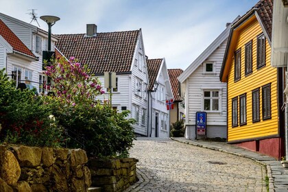 Stavanger: Customised Private Tour with a Local