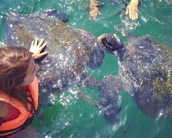 Picture 6 for Activity From Piura || Excursion to Mancora + Swimming with turtles