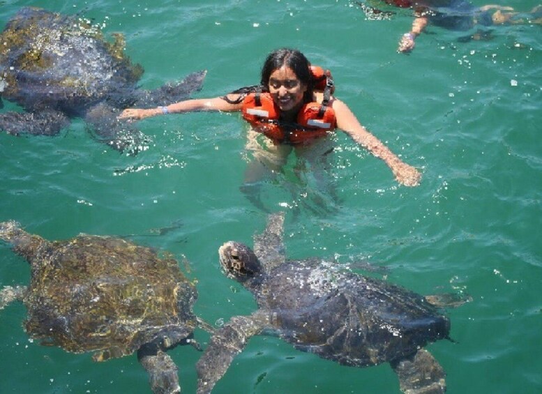 Picture 4 for Activity From Piura || Excursion to Mancora + Swimming with turtles