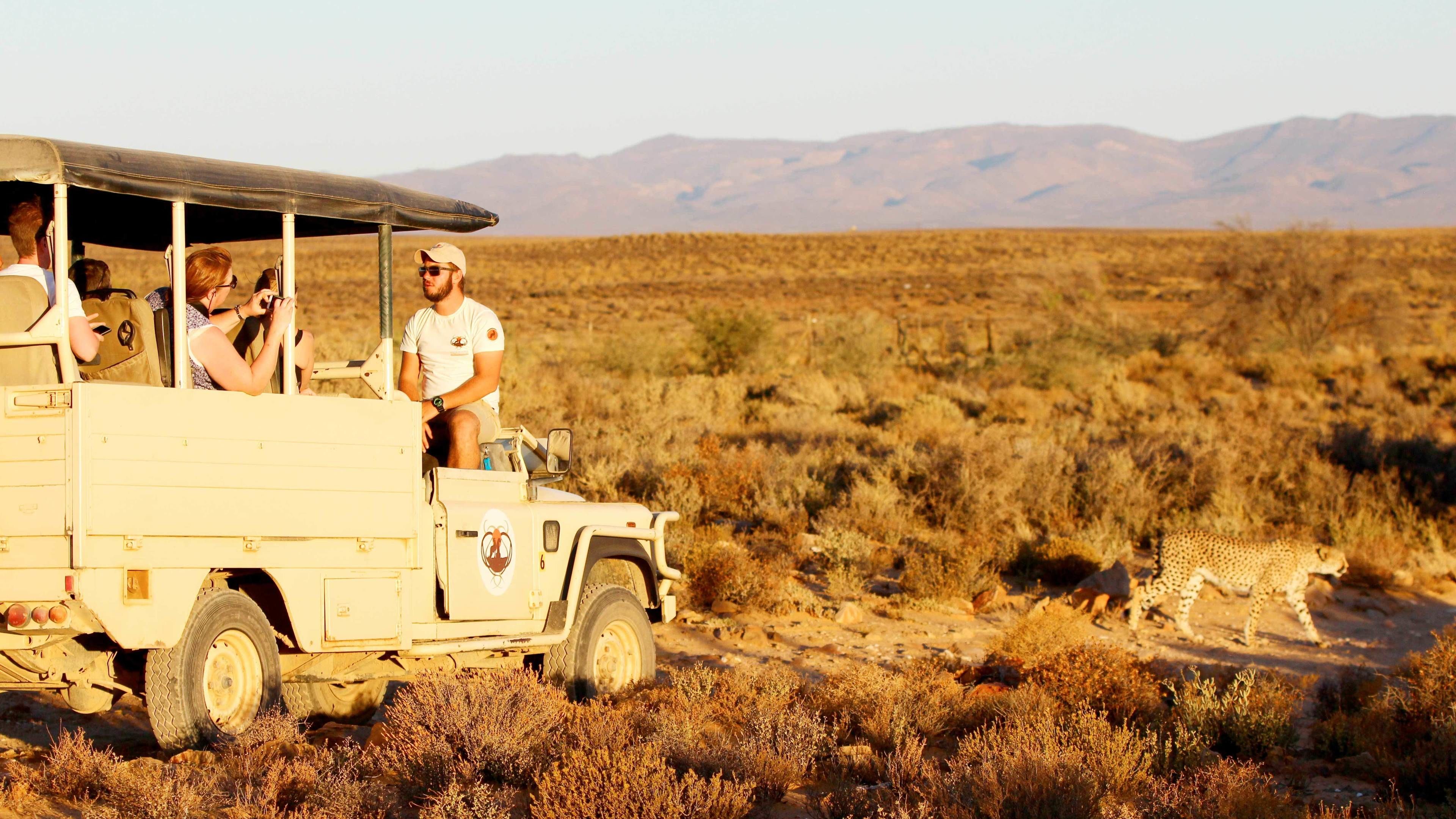 Full Day Safari From Cape Town
