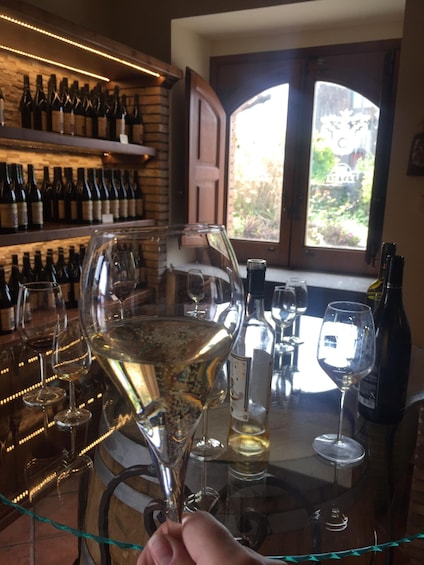 Etna Winery Wine & Food Tasting Private Tour