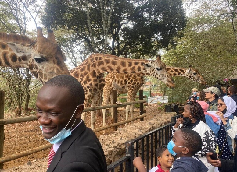 Picture 3 for Activity Giraffe Center and Bomas of Kenya Tour