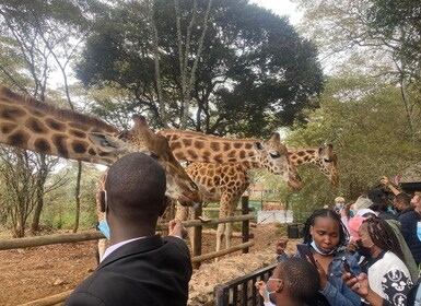 Kirahvikeskus ja Bomas of Kenya -kierros