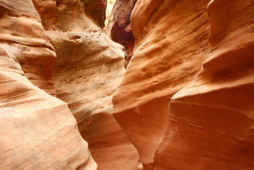 Picture 4 for Activity Utah: App-Based Goblin Valley State Park Audio Guide