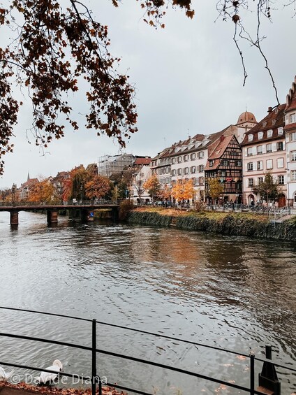 Picture 9 for Activity Private Gastronomic Tour of Strasbourg