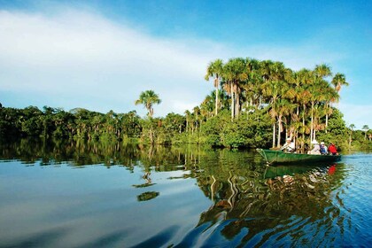 Selva tropical de Tambopata 4D | Lago Sandoval, fogata, senderismo |