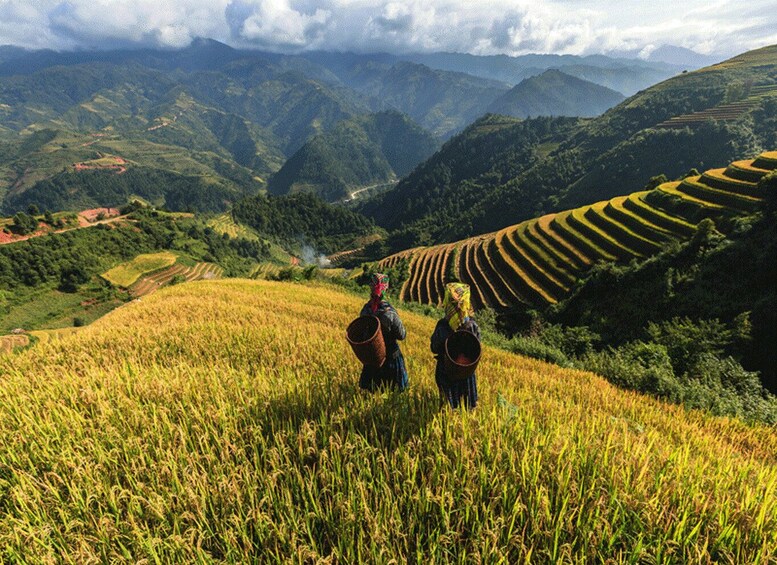 Picture 3 for Activity Lao Chai: Full-Day Ta Van Trek Tour from Sapa