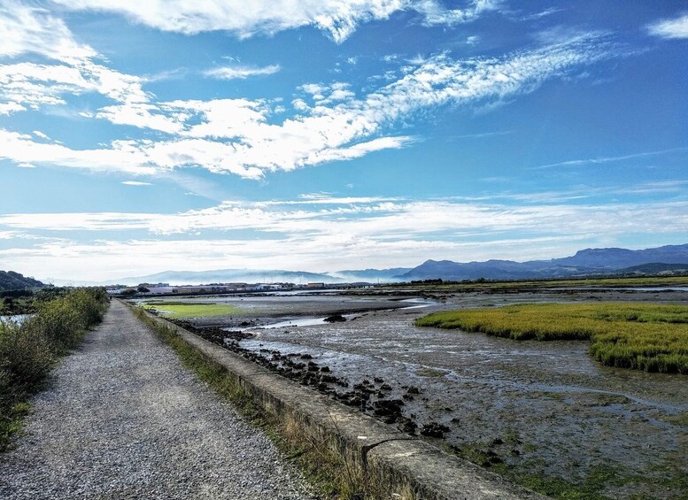 Picture 1 for Activity Santona: Canning Factory and the Marshes Tour with Tasting