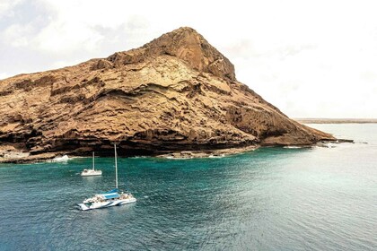 Crucero en catamarán por la isla de Sal con bebidas y aperitivos todo inclu...