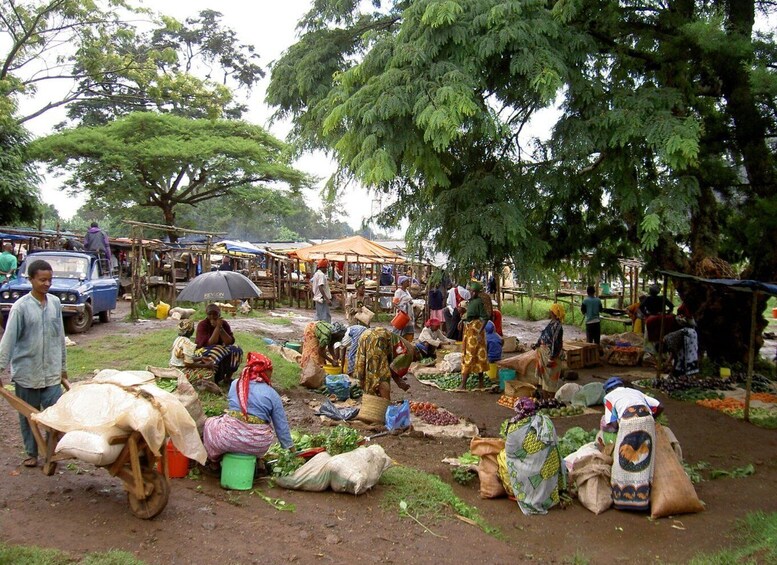 Materuni Waterfalls, Coffee Demonstration and Culture Tour