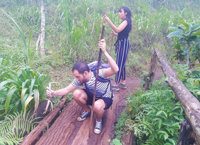 Picture 6 for Activity Materuni Waterfalls, Coffee Demonstration and Culture Tour