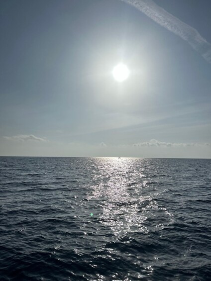 Picture 6 for Activity Boat Tour - Larnaca Bay - aboard a private motor yacht