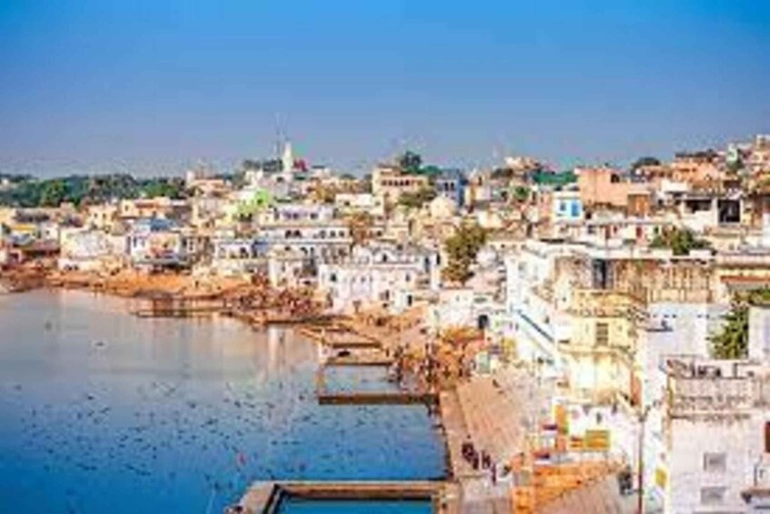 Picture 2 for Activity Same Day Pushkar Tour From Jaipur