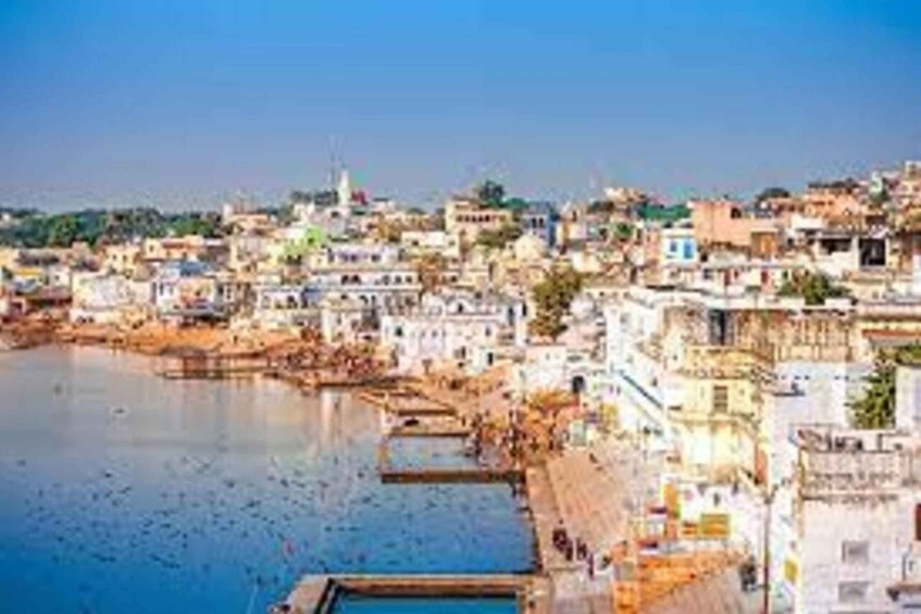 Picture 2 for Activity Same Day Pushkar Tour From Jaipur