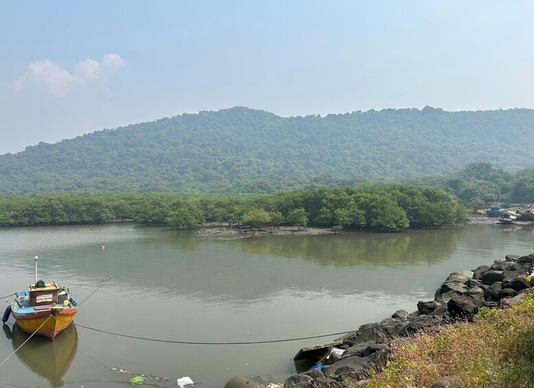 Picture 2 for Activity Explore Elephanta Caves Tour