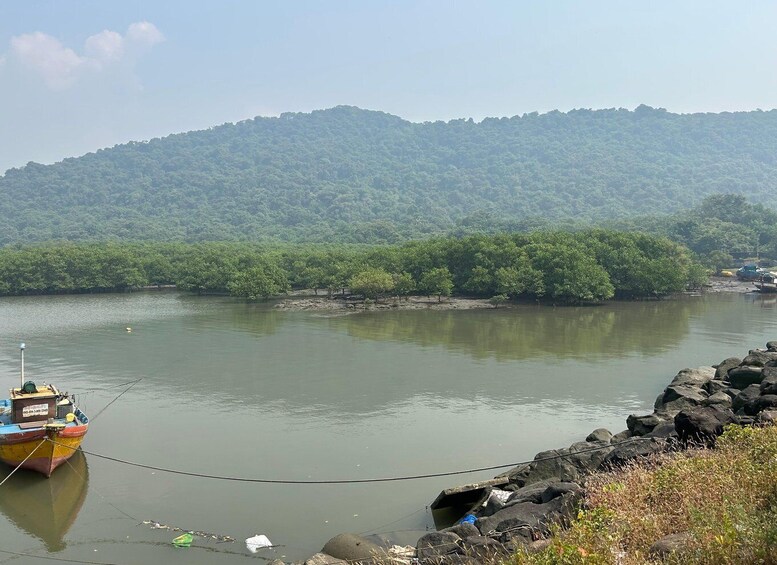 Picture 2 for Activity Explore Elephanta Caves Tour